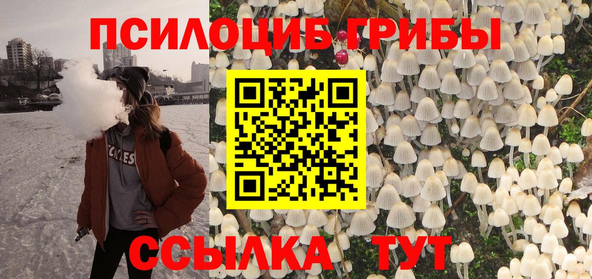Сунжа  Псилоцибиновые грибы мицелий  Вход с VPN 