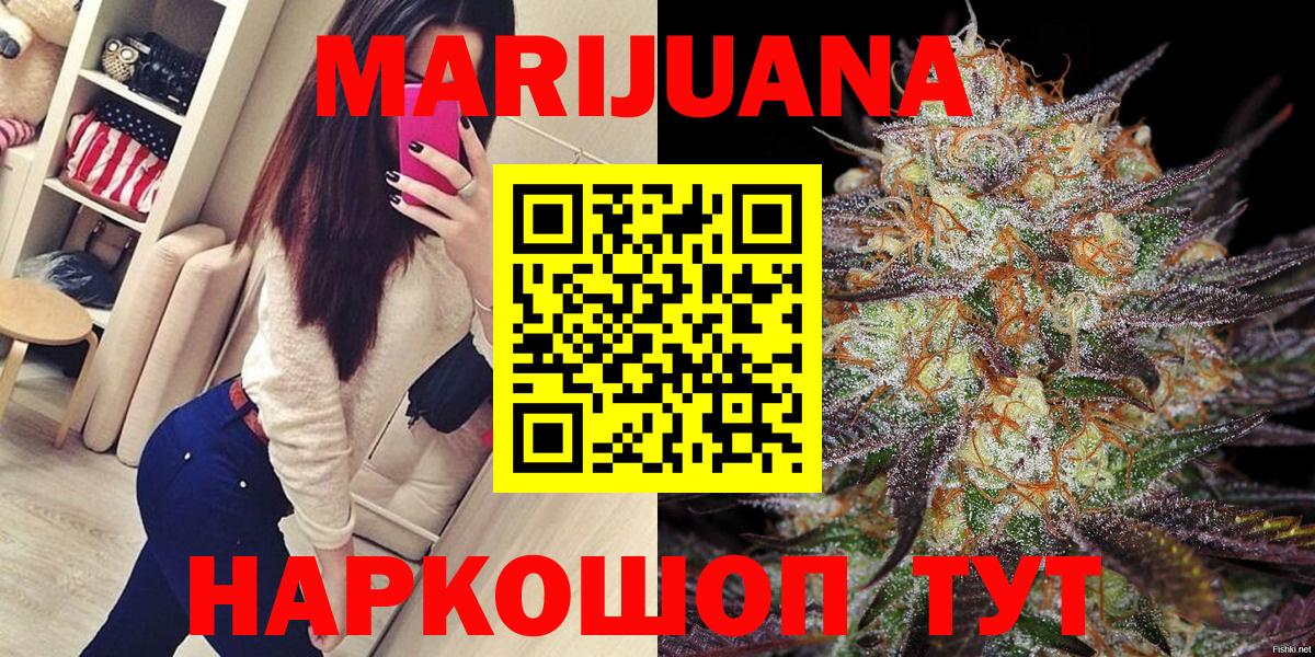 Канабис ГИДРОПОН Сунжа